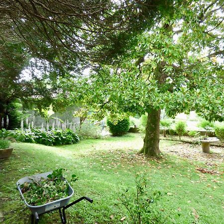Villa Stella Salies-de-Béarn Esterno foto